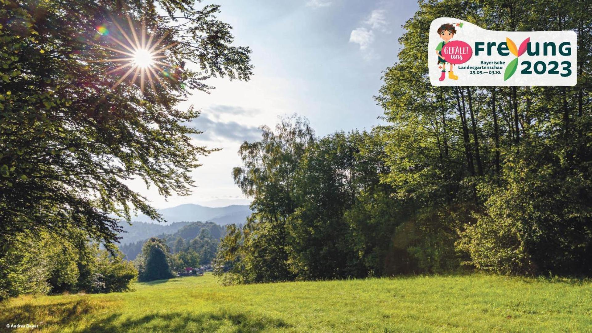 Ferienwohnungen Bayerischer Wald Mit Pool Freyung Εξωτερικό φωτογραφία